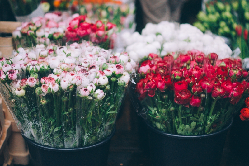 fleuriste-CABASSE-min_farmers-market-1209712